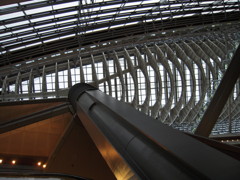 DSCN8633