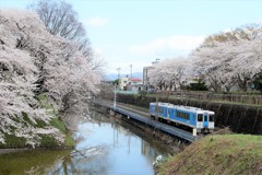 花見列車-2017