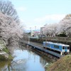 花見列車-2017