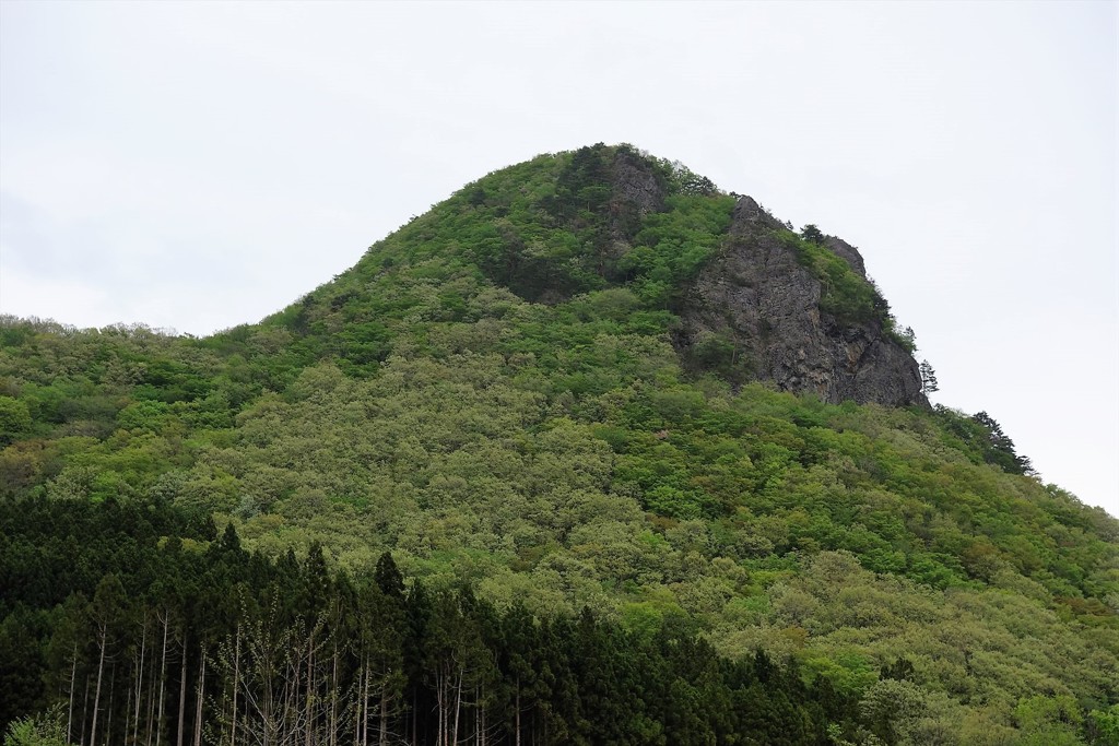 ゴリラ山