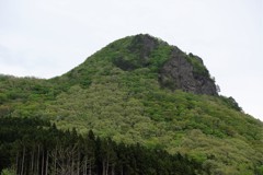 ゴリラ山
