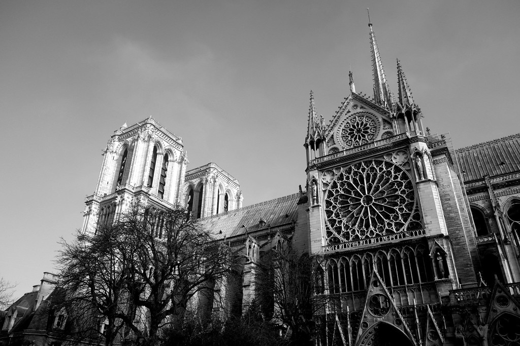 Cathédrale Notre-Dame de Paris-10