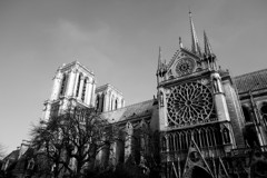 Cathédrale Notre-Dame de Paris-10