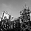 Cathédrale Notre-Dame de Paris-10