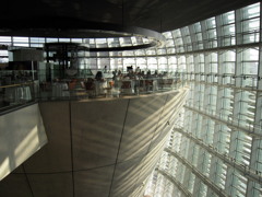 DSCN8509