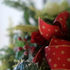 Xmas　2010