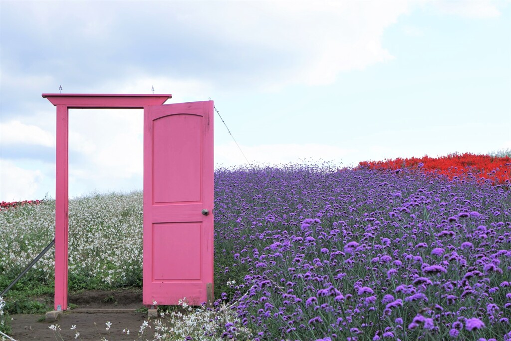 花園へ・・・