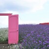花園へ・・・