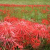 存在感あるなぁ～ 