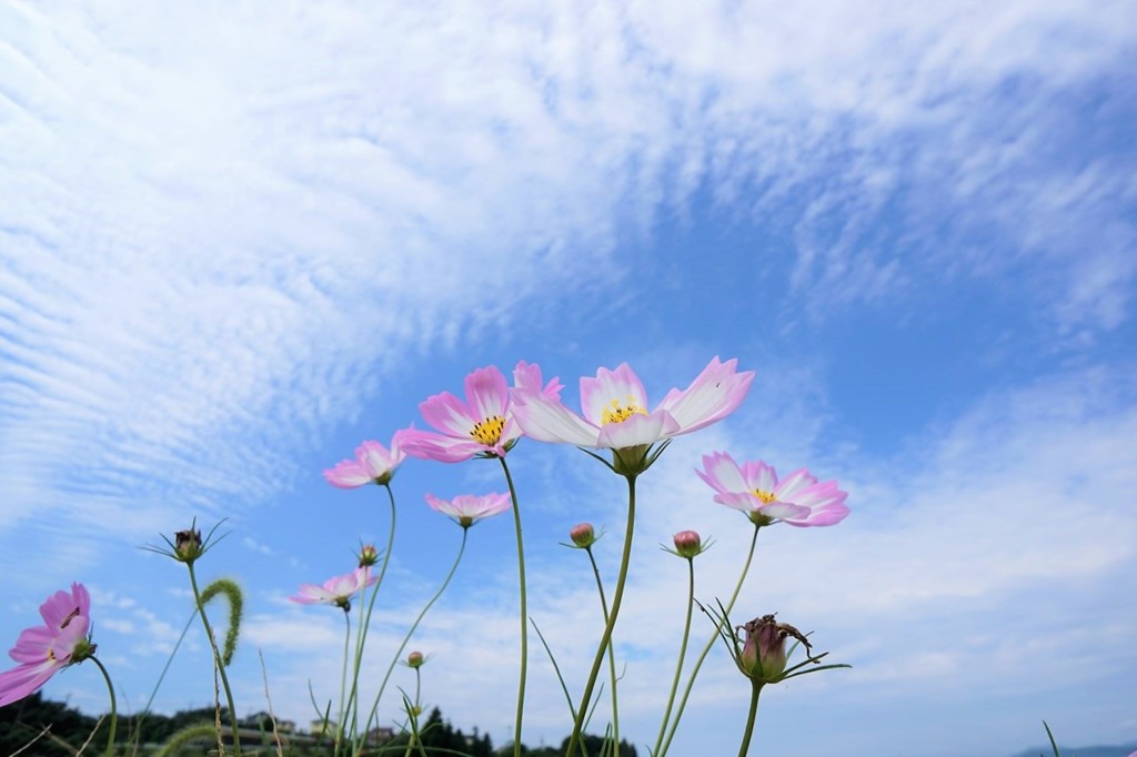 明日は雨-2