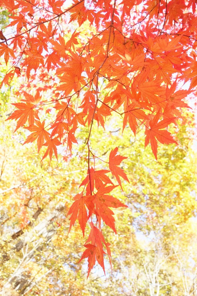 小春日和・・・2