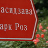 Парк　Роз