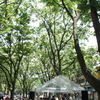 JAZZと新緑
