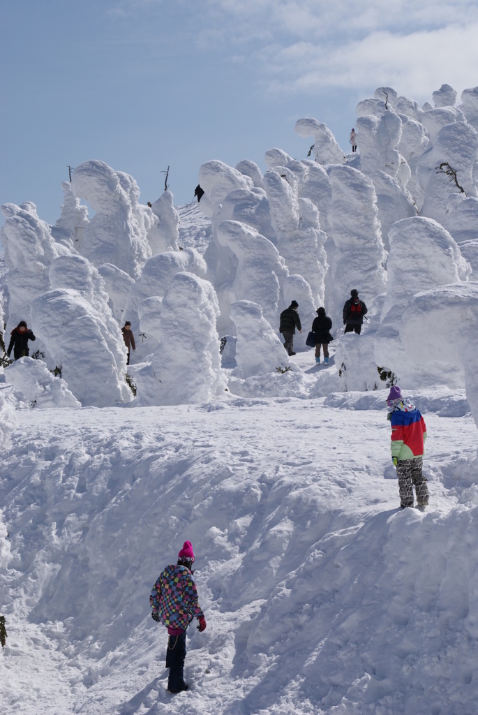 Ice monster in ZAO