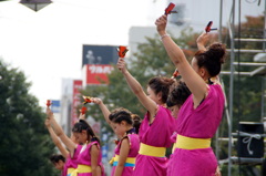 よさこい2015　sendai