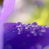 macro
