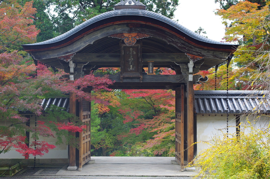 二尊院の紅葉 