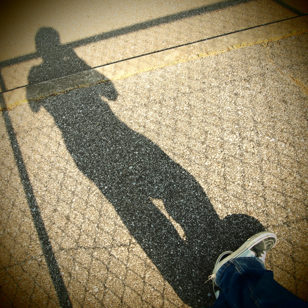 Wire net