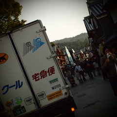 Cat's Delivery