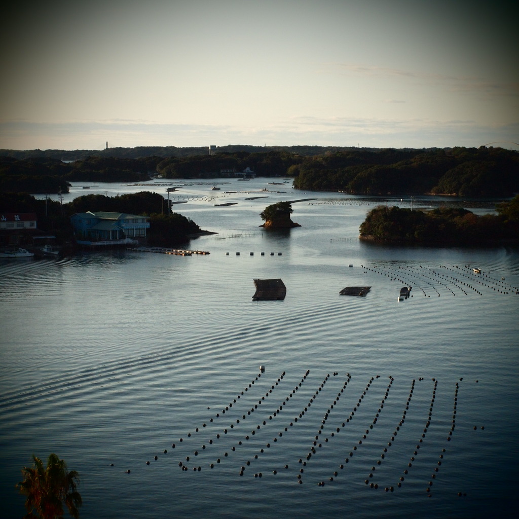 Bay of pearl