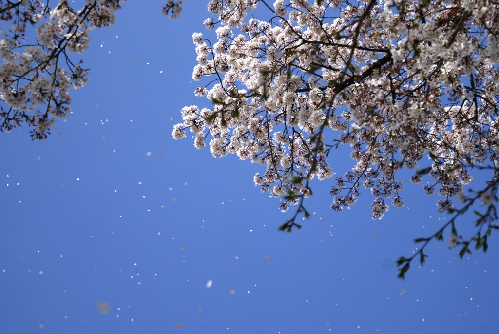 春風