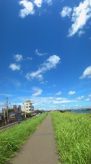 夏