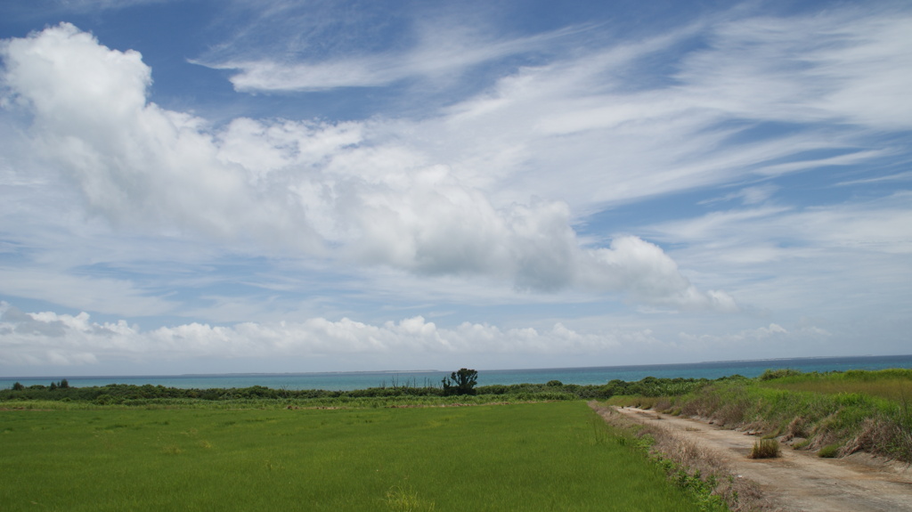 小浜島の風景①