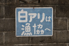 イカす看板（４）