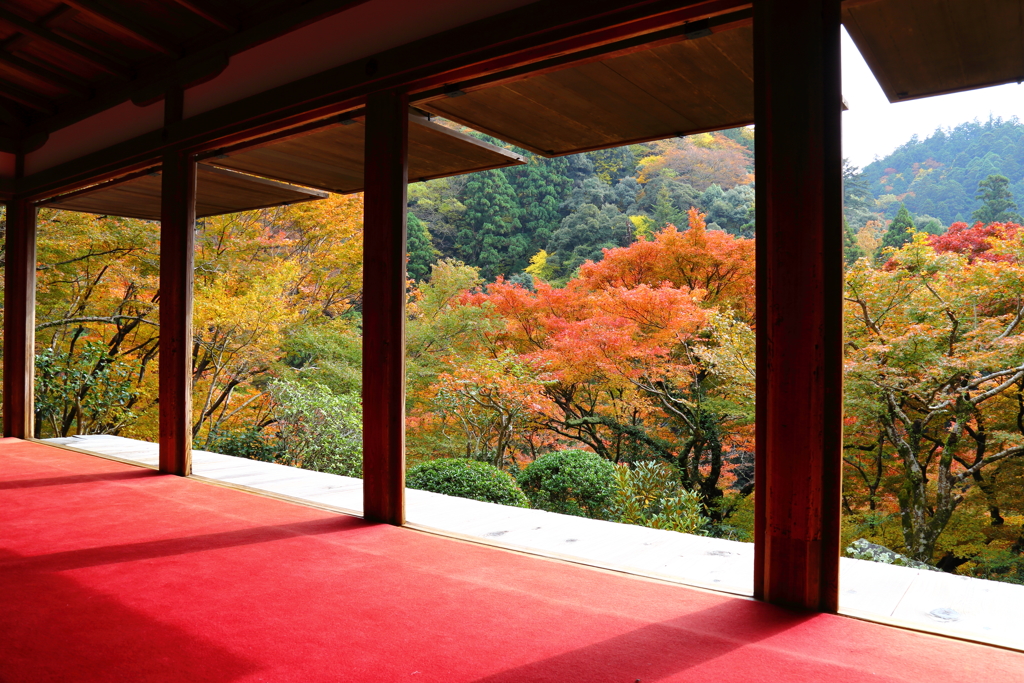 『高山寺　石水院』