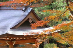 『鷲林寺にて　伍』