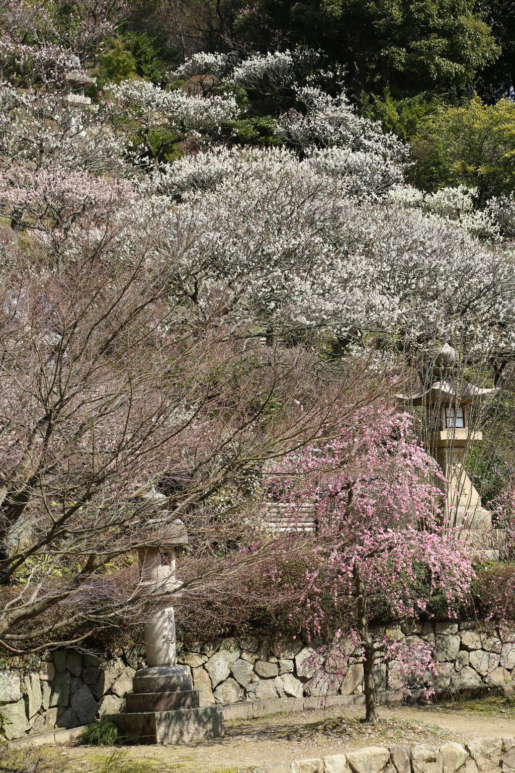 『中山寺にて』