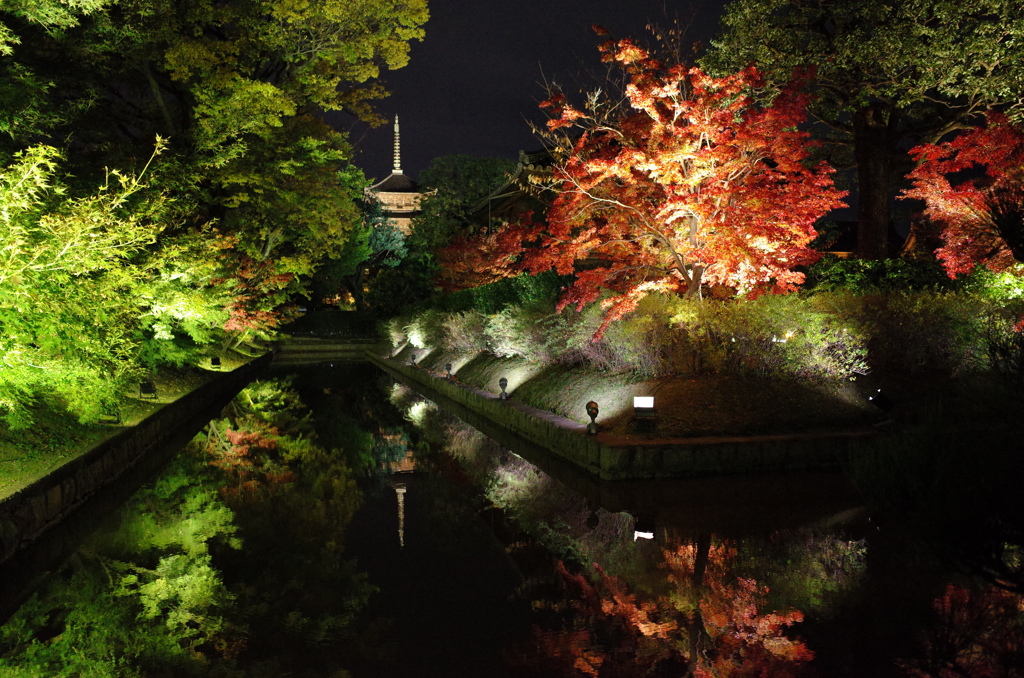 【東寺のライトアップ】