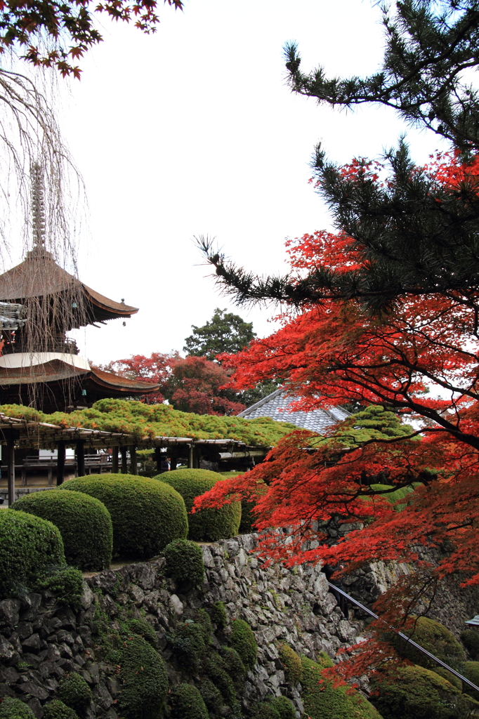 『京都　山寺　紅葉2』