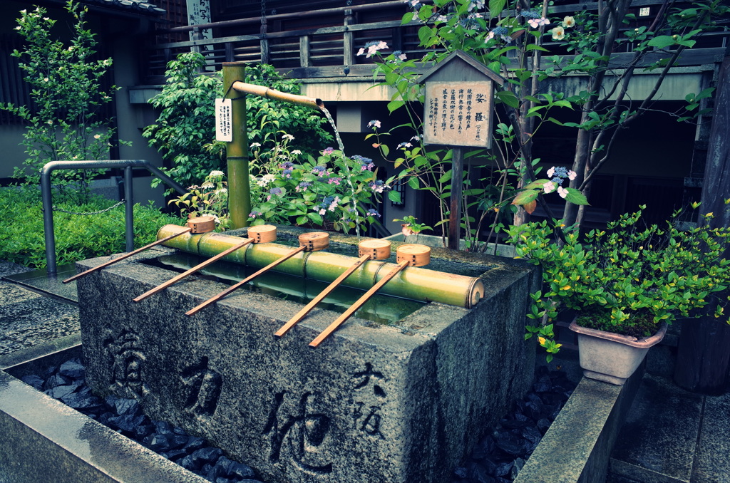 『矢田寺』