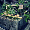 『矢田寺』