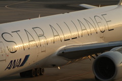 ＳＴＡＲ　ＡＬＬＩＡＮＣＥ！！