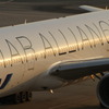 ＳＴＡＲ　ＡＬＬＩＡＮＣＥ！！