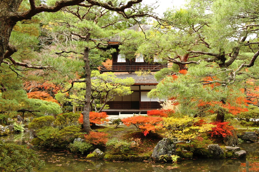 『Ｇｉｎｋａｋｕｊｉ　Ｔｅｍｐｌｅ』