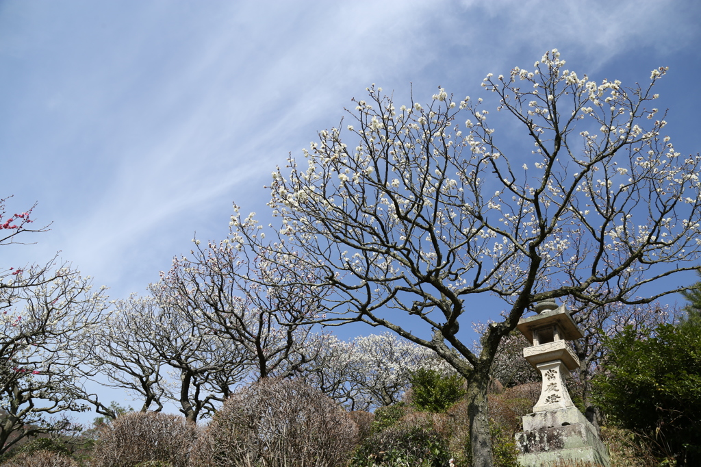 『中山寺にて　3』