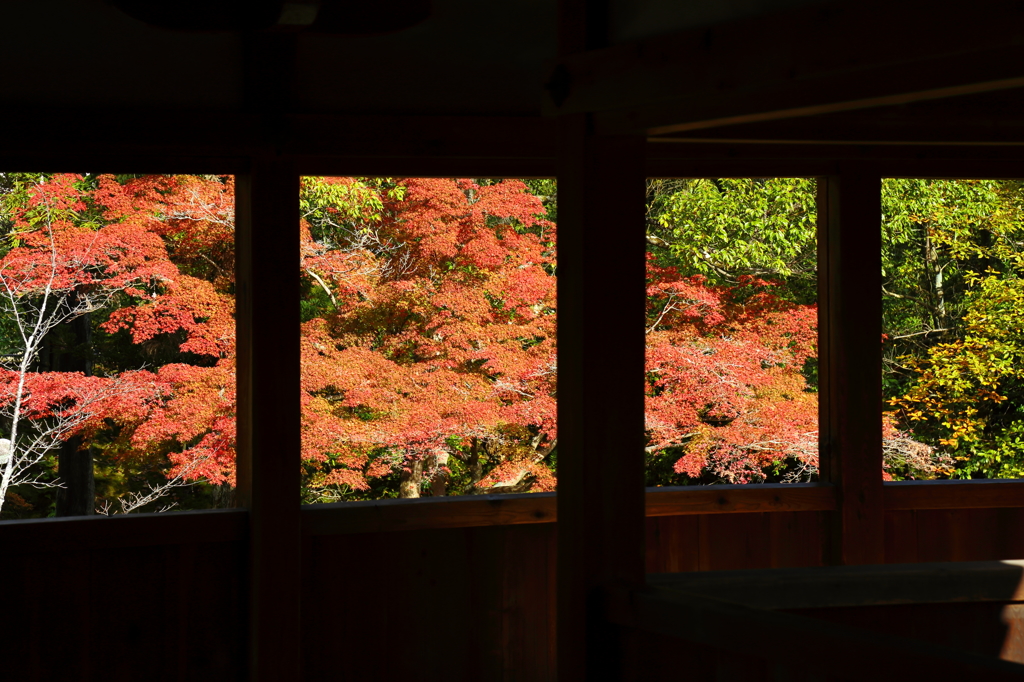 『嵯峨野にて』