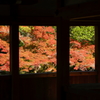 『嵯峨野にて』