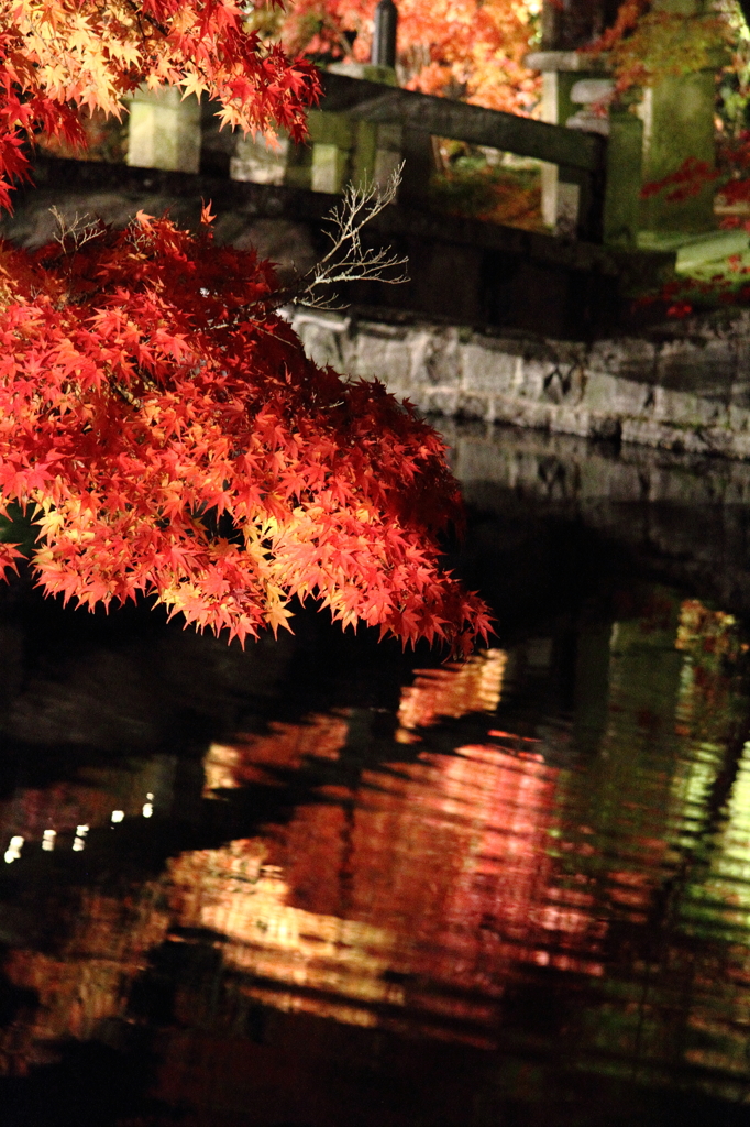 『京都　秋３』