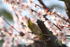 何を思う