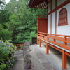 『久米寺の紫陽花』