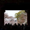 『撮りたい』