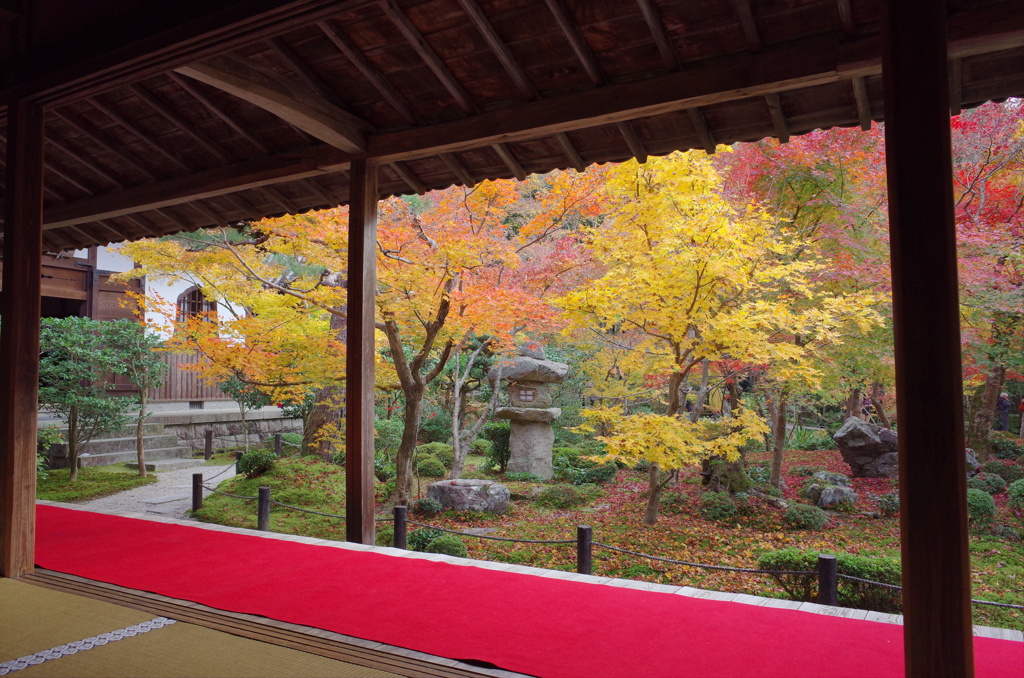 【圓光寺にて】