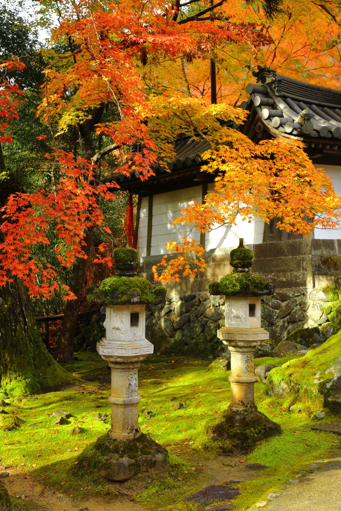 『西明寺の秋』