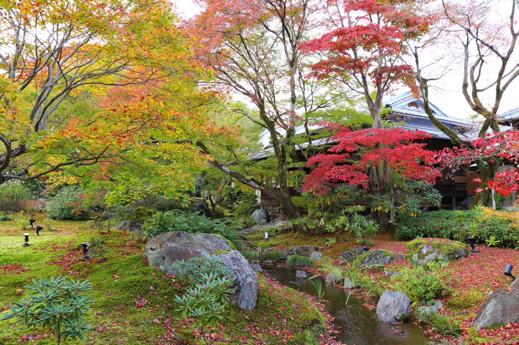 『嵐山にて』