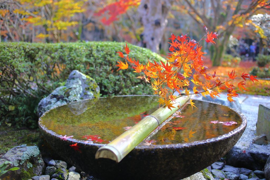 『水琴窟』