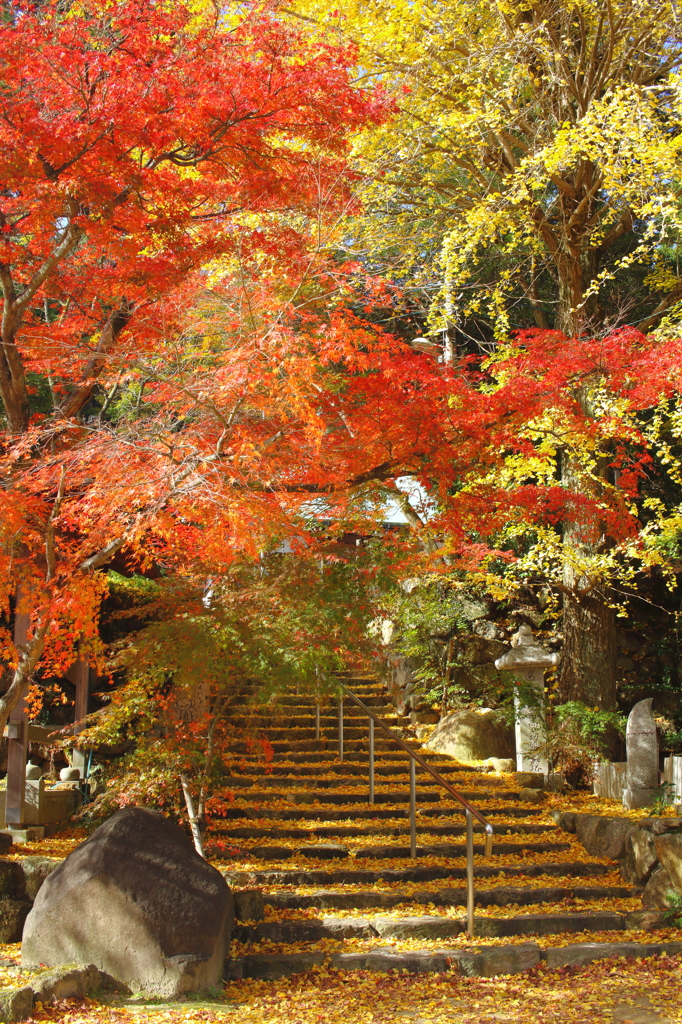 『鷲林寺にて　参』